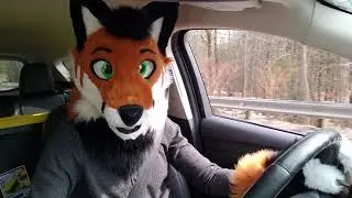 Casual Drive in New Hampshire