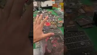 Войны чёрной розы: возрождение 