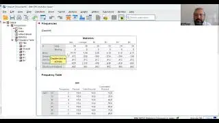 SPSS veri girişi nasıl yapılır? Betimleyici istatistikler ve Frekanslar
