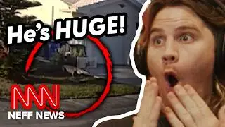 FLORIDA WOMAN VS GATOR | Neff News