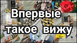 интересная покупка на Яндекс Маркете//нужны СЛАНЦЫ//РОЛЛЫ из ТОГО ЧТО ЕСТЬ