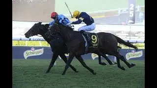 2020 ATC ALL AGED STAKES