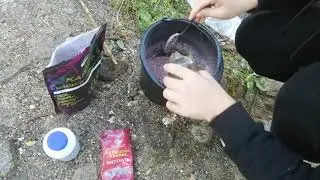 Охота за плотвой