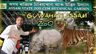 Guwahati Zoo 2025||Assam State Zoo Cum Botanical garden 🐯
