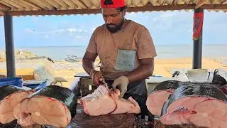 Unbelievable !! Colourful Shark Fish Cut Like Butter | Huge Milk Shark Fish Cutting Skill By Expert