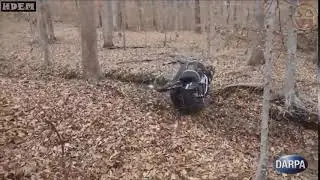 Матерящийся робот упал