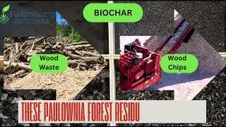 BioChar & Paulownia Forestry Waste Residue Woody Debris