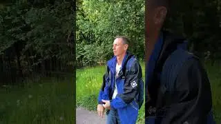 Липа. Поэзия Бян-Кин-До.