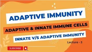 Adaptive Immunity overview| Innate v/s adaptive immunity| Lec-3| Humoral & Cellular| Immunology