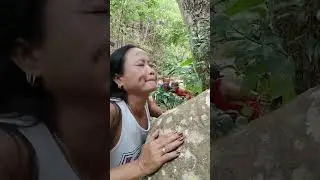 pinilit si ate