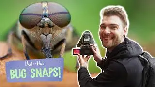 🪲 BUG SNAPS 🪲 Learn how to take cool bug photos 😮📷 Full Series 2