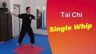 Yang Style 24 Single Whip