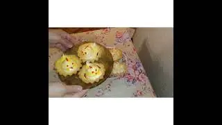 КАК  Украсить Пирожные  Корзинка (Саватчали Пирожный Безаш)