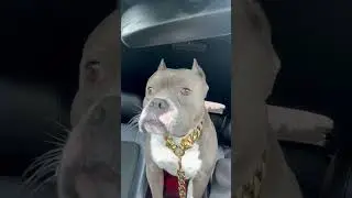 #shortsfeed #youtube