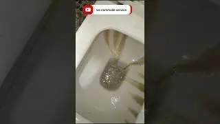 commode flush repair #plumbing #plumber #shorts #youtubeshorts #expertplumberworld