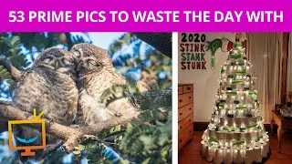Some of the best pics to waste your day with!