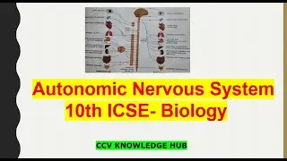 #Autonomic