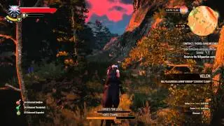 Witcher 3: Wild Hunt - Nilfgaardian Main Camp quest