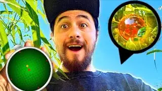 I Found The Dragon Balls In REAL LIFE