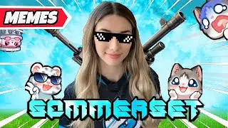 Fortnite Memes That Expose Sommerset