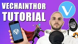 How to stake VET with VeChainThor (2021 Tutorial)