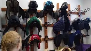 Дубрава КСК(12)