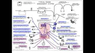 Instructor Series:  Inputs, outputs, & PCM