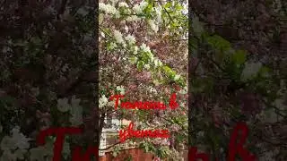7 мая в Tyumen