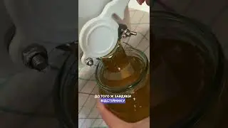 Ідеальний відстійник для меду  #bee  #beekeeper #beekeeping