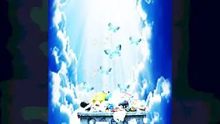 veevimeow_404 - Butterflies (music)