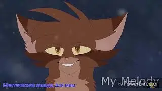 Клип Коты воители Индиго МАМА