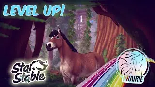 Star Stable Online ~ Level 22!