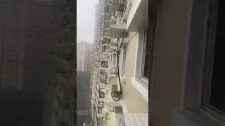 Relaxing Rain in Kakkanad, Kochi 🇮🇳 | Short Nature Video