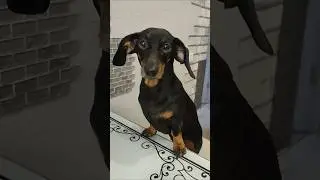 Кто это тут такой хорошенький?