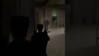 Max Payne being hilarious 