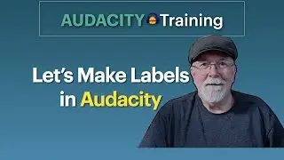 The Audacity Label Track