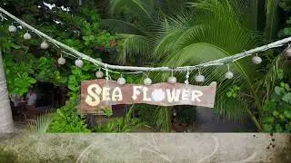 Seaflower Bungalows Beach Resort Annual Sandcastle Competition