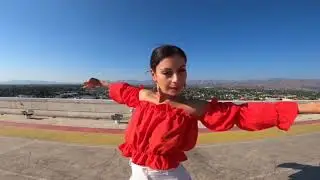 Flamenco on the roof