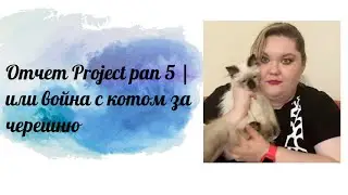 Отчет Project pan 5 | Конкурс
