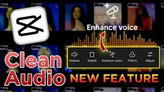 How to remove background noise in capcut | Capcut Enhance voice