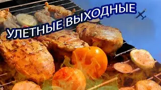 СОЧНЫЙ КУРИНЫЙ СТЕЙК С СЫРОМ И ОВОЩАМИ ГРИЛЬ НА УГЛЯХ