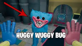 Bugs Huggy Wuggy | Bug Hack Glitch Poppy Playtime