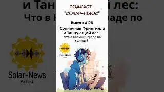 #128 - Солнечная Фрингилла и Танцующий лес: Что в Калининграде по солнцу? #солар #соларньюс #podcast