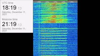 The Buzzer/UVB-76(4625Khz) December 11, 2021 Voice messages