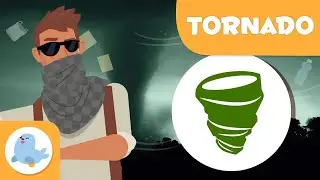 TORNADO 🌪️ Desastres naturals en 1 minut en català 💨