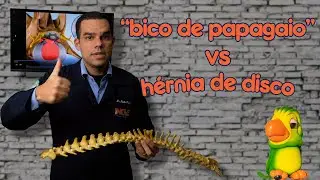 Bico de Papagaio vs Hérnia de Disco