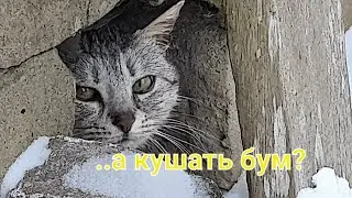 Опять  беременная.