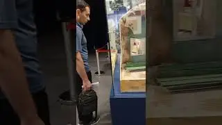 Мультпарк в Казани