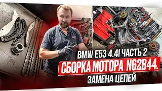 #23 Будни BMW E53 4.4i Серия 2. Cборка мотора N62B44. Замена цепей. Первый запуск  #hellcar #bmw
