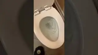 Toilet not fully flushing.